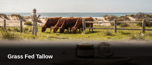 Grass Fed Tallow: Sustainable Skincare Sourcing